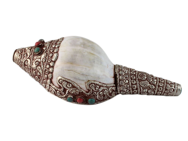 Muschelhorn Schneckenhorn Cronch Shankha Online Kaufen