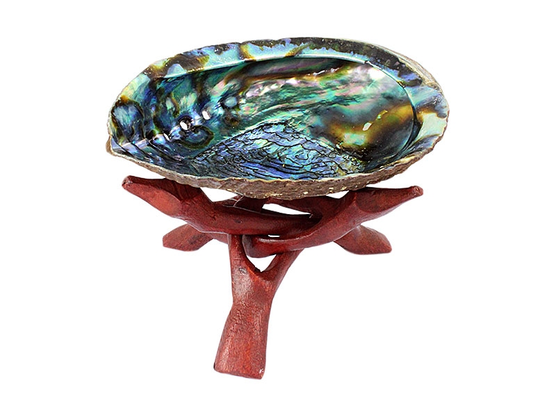 Abalone Muschel 16 cm mit Kobra Dreifuß