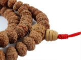 8 Mukhi Rudraksha Mala Gebetskette 10 mm